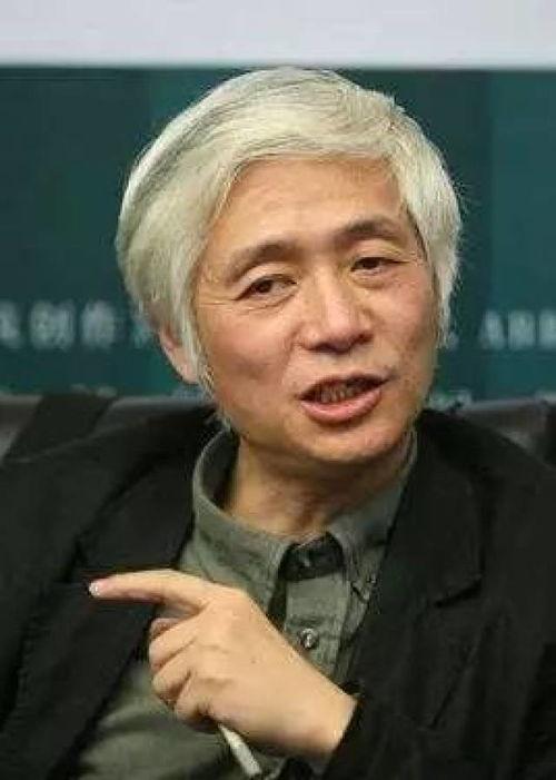 赵辰照片,光影中的独特魅力