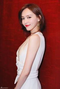 道子资料合集,探寻东方哲学智慧之精髓