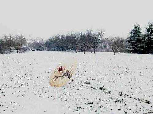 搞笑赞雪诗,赞雪诗里的欢乐时光