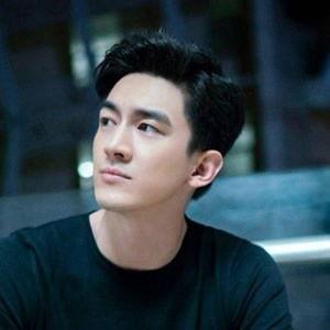 林更新个人资料简介及,从影视新星到实力派演员的蜕变之路